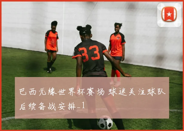 巴西无缘世界杯赛场 球迷关注球队后续备战安排_1