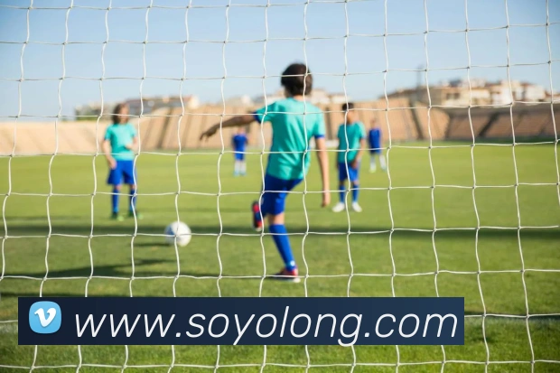 世界杯官方网络平台APP 封面图